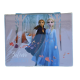 Valigetta 52 Pezzi Frozen II Disney - Colori, Elsa e Anna - Idea Regalo per Bambina!