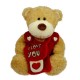 PELUCHE ORSETTO TEDDY  I LOVE YOUCON TRACOLLINA PORTA TUTTO CM.30 PUPAZZO TEDDY