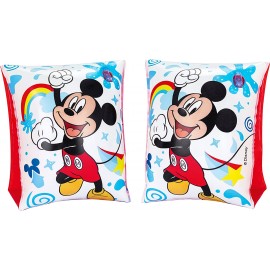 Braccioli Mare Piscina  Disney Finding Dory in plastica 25x15x5 Bambini