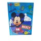  Diario Scuola 10 Mesi Mickey Mouse Fogli a quadretti 20x15x2 cm Diari Topoilino