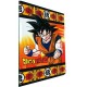 Dragon Ball Z Maxi Rig.B Quaderno 100gr A4 rigatura -Soggetti Assortiti 15Pz