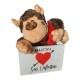 Cassetta San Valentino da regalare  con peluche  Cassetta di San Valentino da regalare