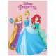 Plaid Disney Principesse - Coperta in Morbido e Caldo Pile per Bambina - 100x140 cm, Ideale per Gioco e Relax"