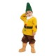 vestito-costume-maschera-di-carnevale Bambini-Mammolo-Sette Nani-