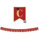 Festone Laurea "Congratulazioni" 300x20 cm – Decorazione Elegante per Feste di Laurea