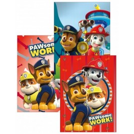 Set da 10  Quadernone PAW PATROL Disney maxi Scuola elementare