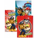 Set da 10  Quadernone PAW PATROL Disney maxi Scuola elementare