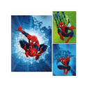 Set da 10 Quadernone SPIDERMAN  Marvel maxi Scuola elementare UOMO RAGNO